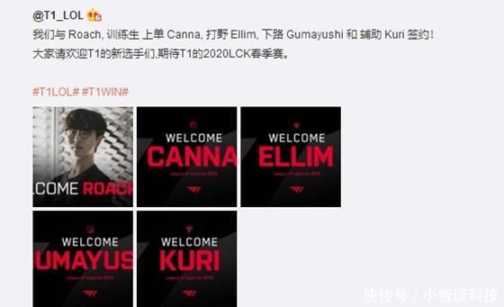 6人战术选 6人战术选